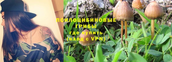 apvp Абдулино