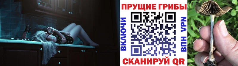 Галлюциногенные грибы мухоморы  ОМГ ОМГ   Зубцов 